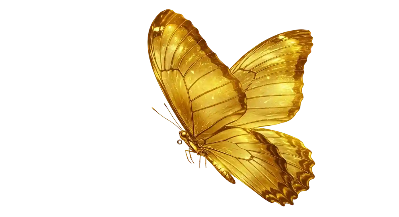 shape